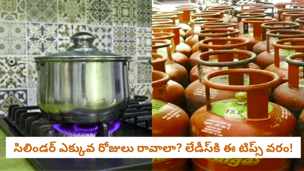 చలికాలంలో వంట గ్యాస్ వినియోగం పెరుగుతోందా? సిలిండర్ ఎక్కువ కాలం ఉపయోగించేందుకు ఉపయోగకరమైన చిట్కాలు